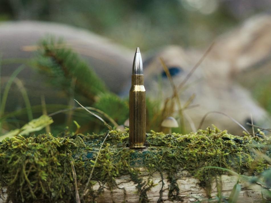 Single cartridge stands vertically on forest floor 