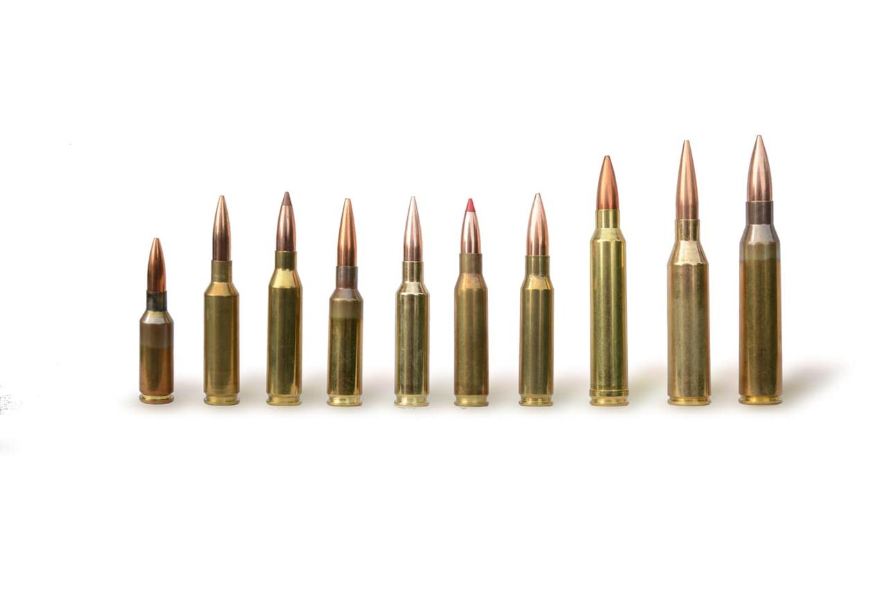 Illustration of popular long range calibers, cartridges arranged in  row, sorted by size