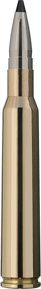 A RWS 7x64 Speed Tip 9,7g center rifle cartridge