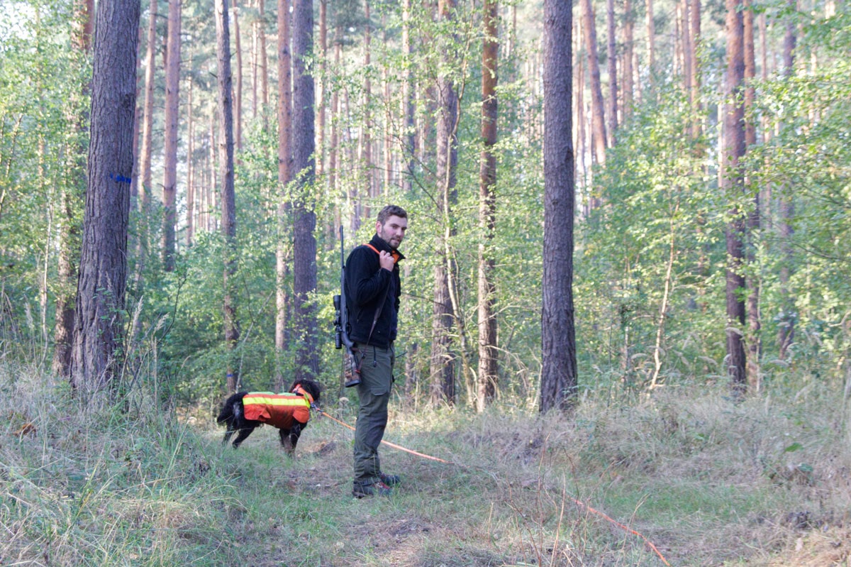 Förster mit Hund im Wald zur Nachsuche