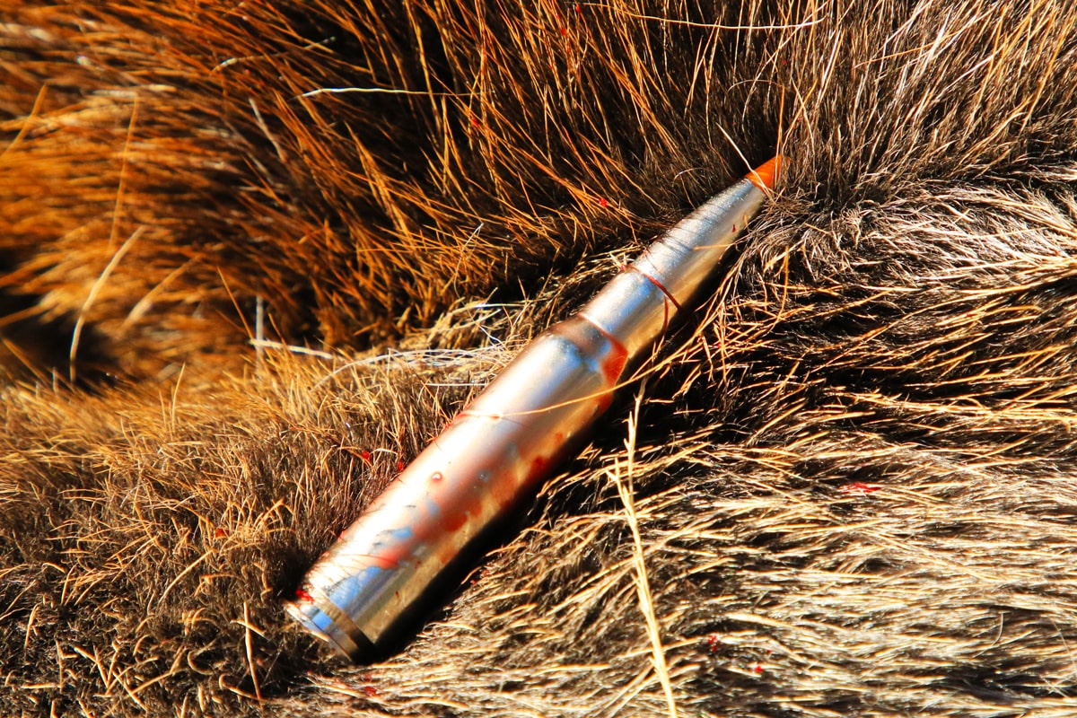 Rifle cartridge from the RWS HIT Short Rifle Series in .308 Win. caliber draped on a skin 
