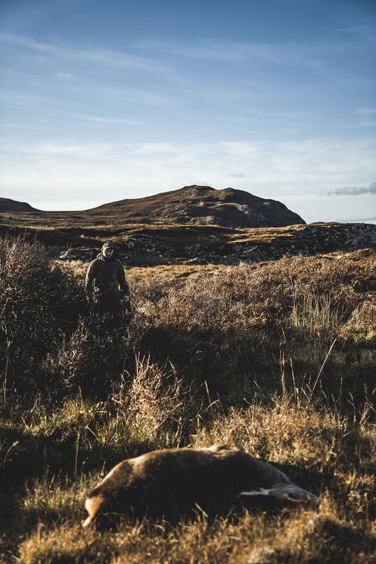 Erlegtes Wild in den schottischen Highlands