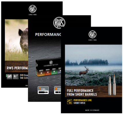 RWS More Downloads RWS Flyer